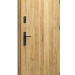 Los Angeles - Modern Entry Door