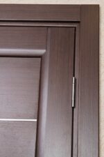 "Lagoon" Wenge Modern Interior Door - villedoors.com