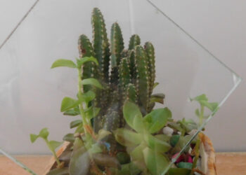 Wrought Iron Doors - villedoors.com