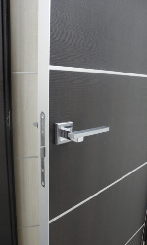 Diplomat - Wenge Modern Interior Door - villedoors.com