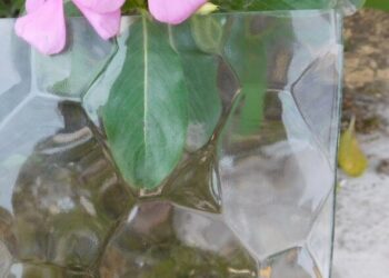 Wrought Iron Doors - villedoors.com